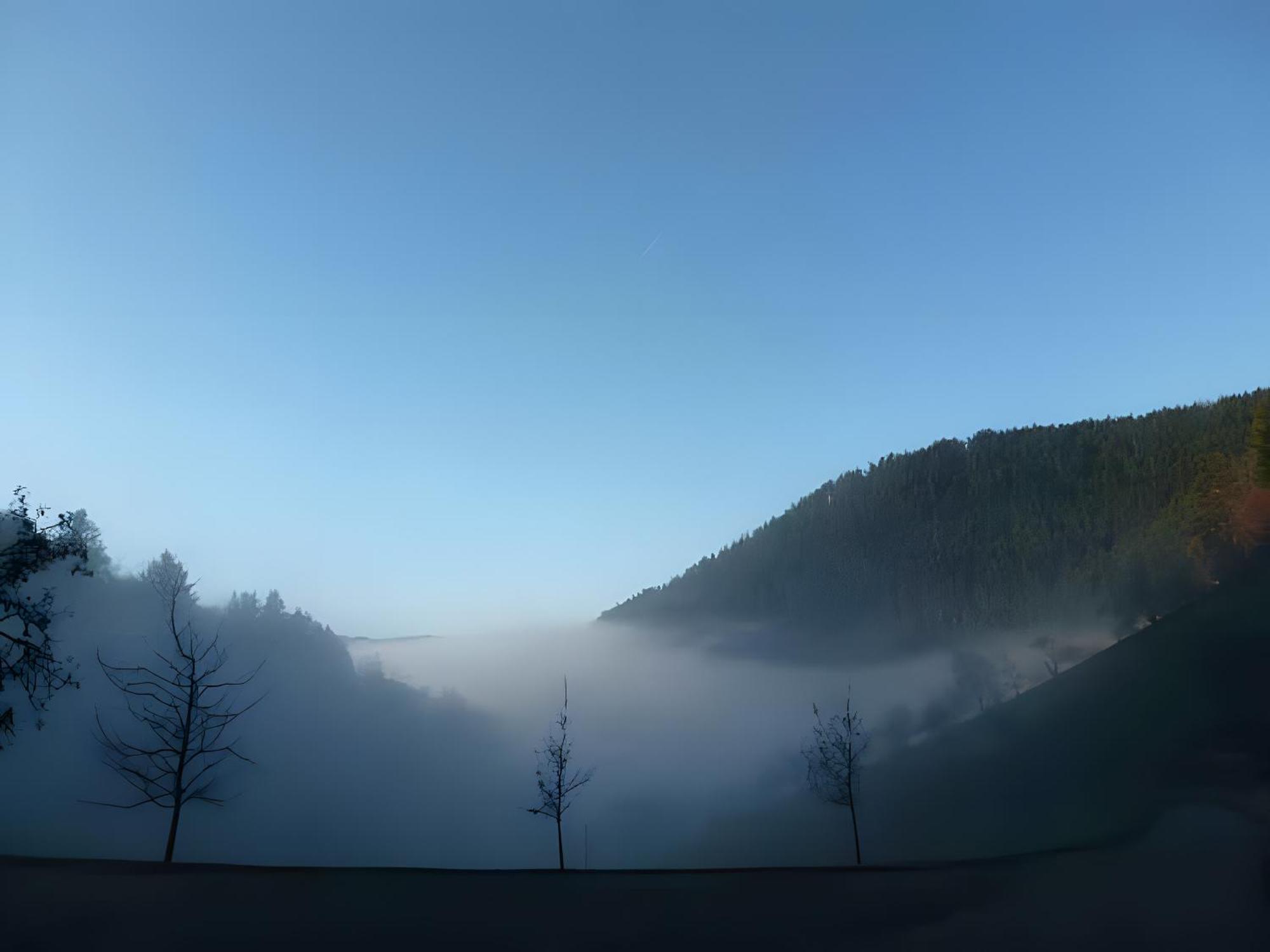 Appartamento Holderstanzenhof Bad Peterstal-Griesbach Esterno foto