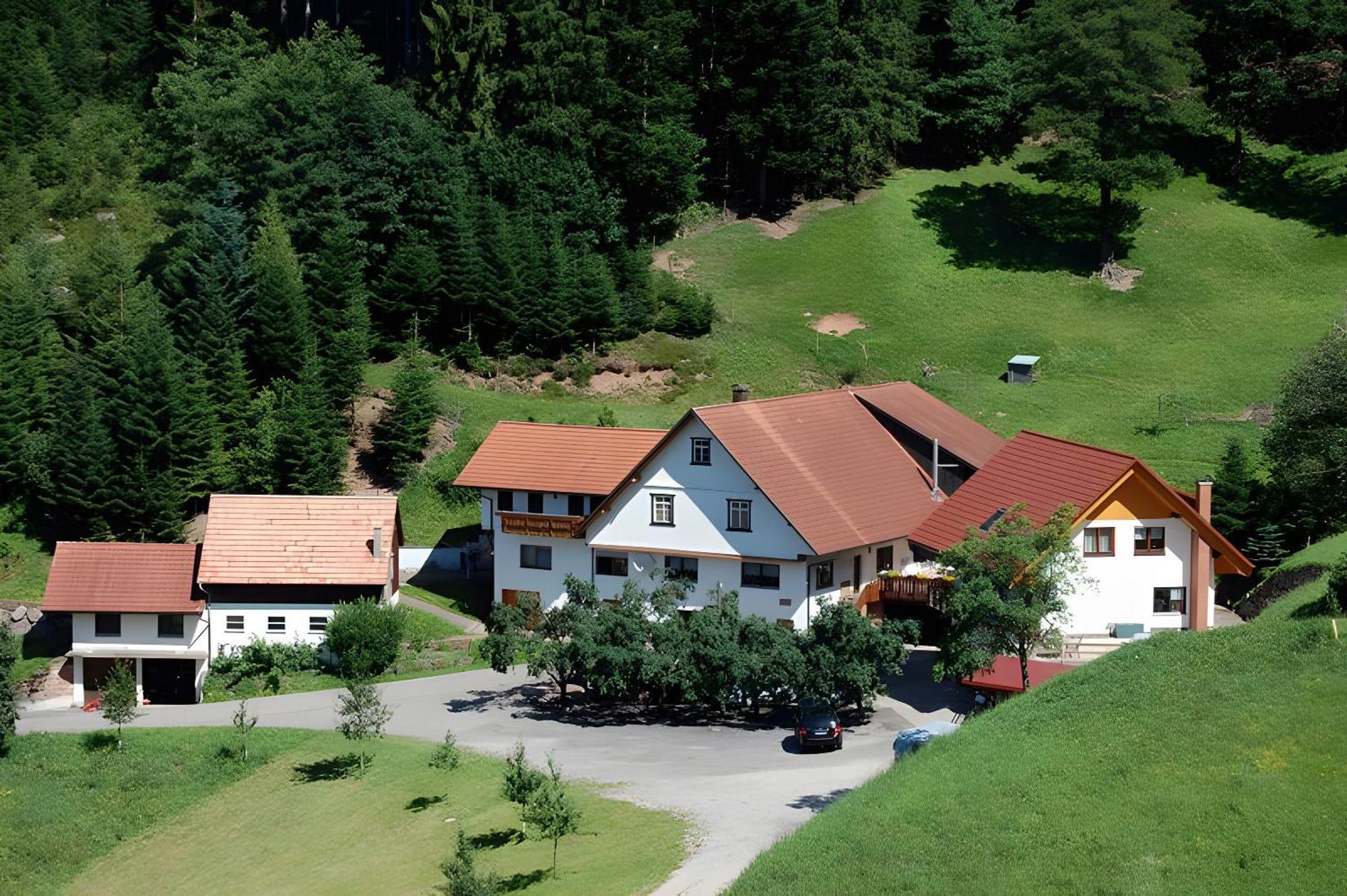 Appartamento Holderstanzenhof Bad Peterstal-Griesbach Esterno foto