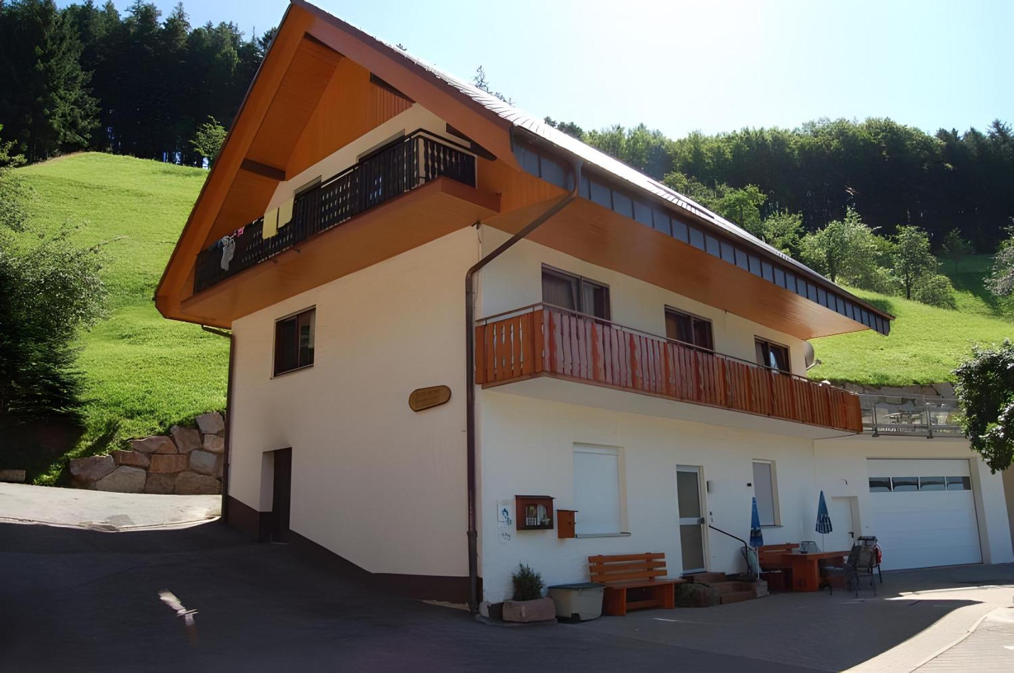 Appartamento Holderstanzenhof Bad Peterstal-Griesbach Esterno foto
