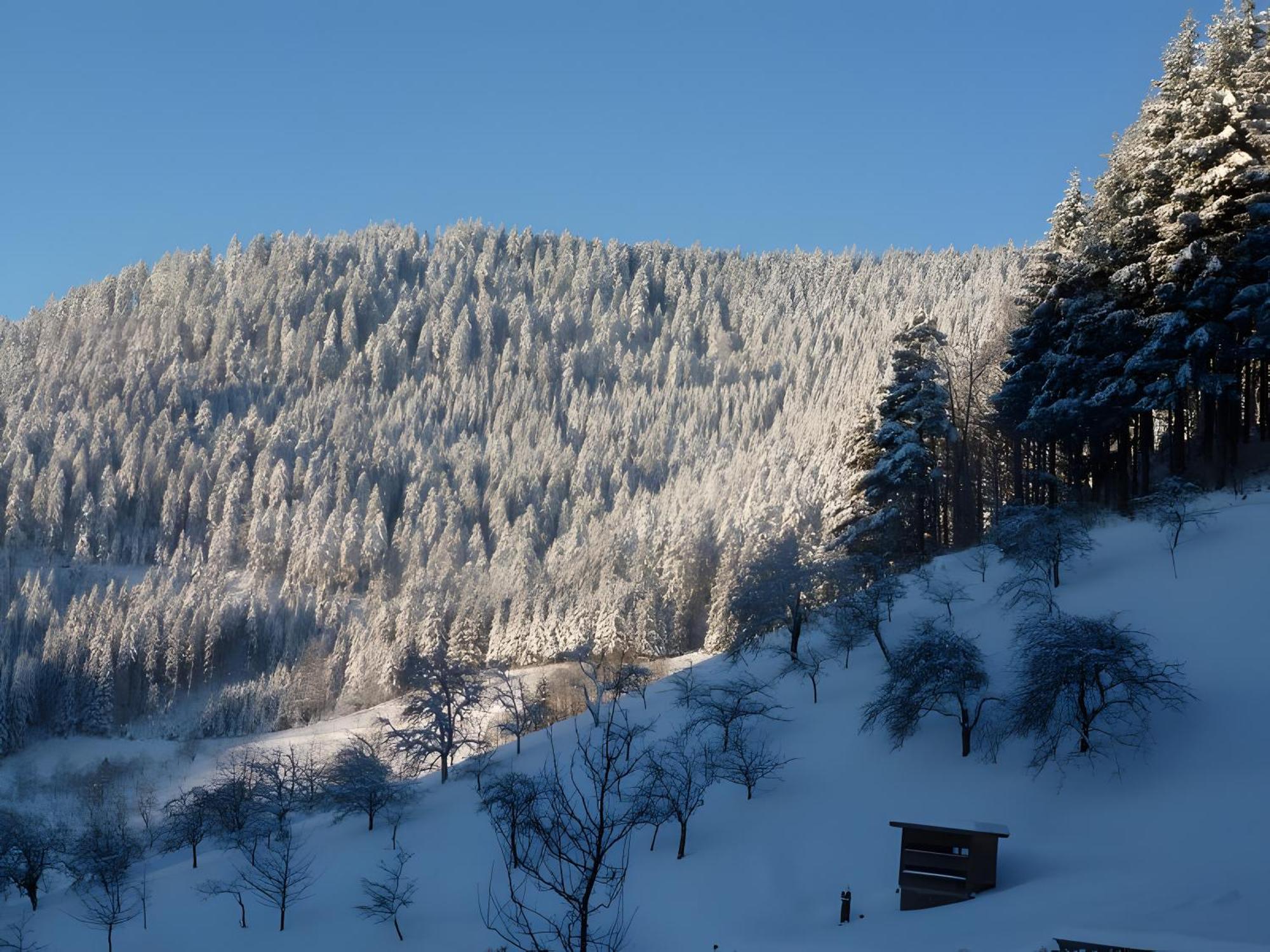 Appartamento Holderstanzenhof Bad Peterstal-Griesbach Esterno foto