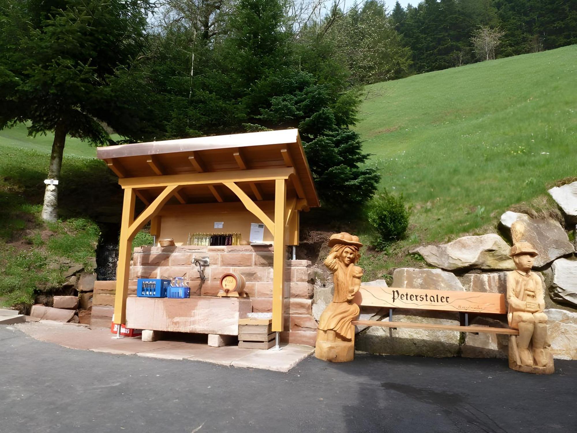 Appartamento Holderstanzenhof Bad Peterstal-Griesbach Esterno foto