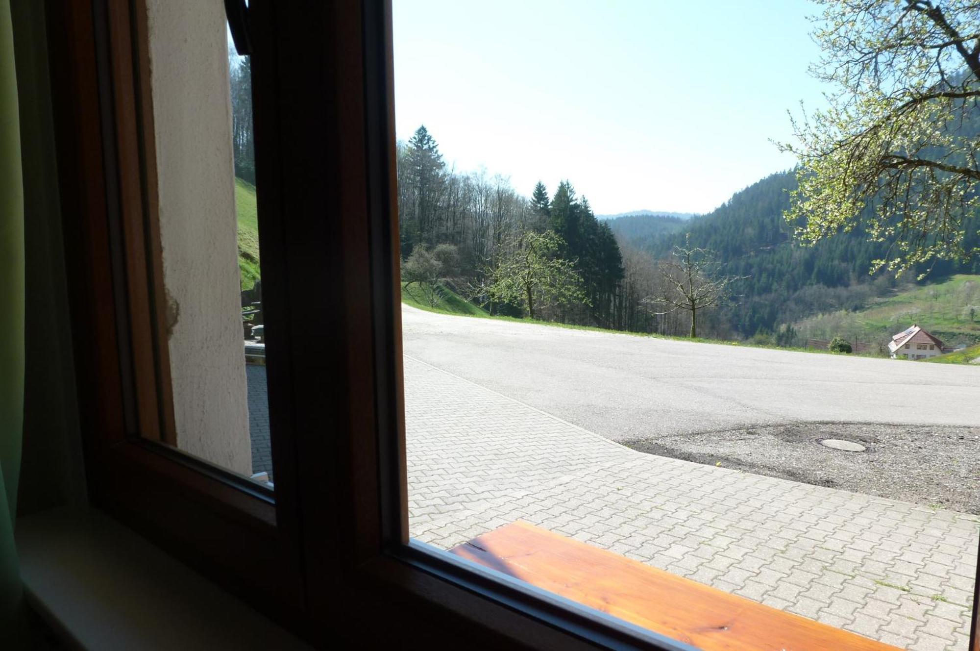 Appartamento Holderstanzenhof Bad Peterstal-Griesbach Esterno foto