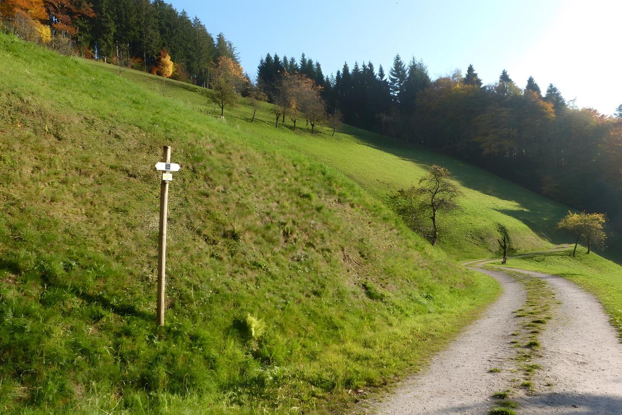 Appartamento Holderstanzenhof Bad Peterstal-Griesbach Esterno foto
